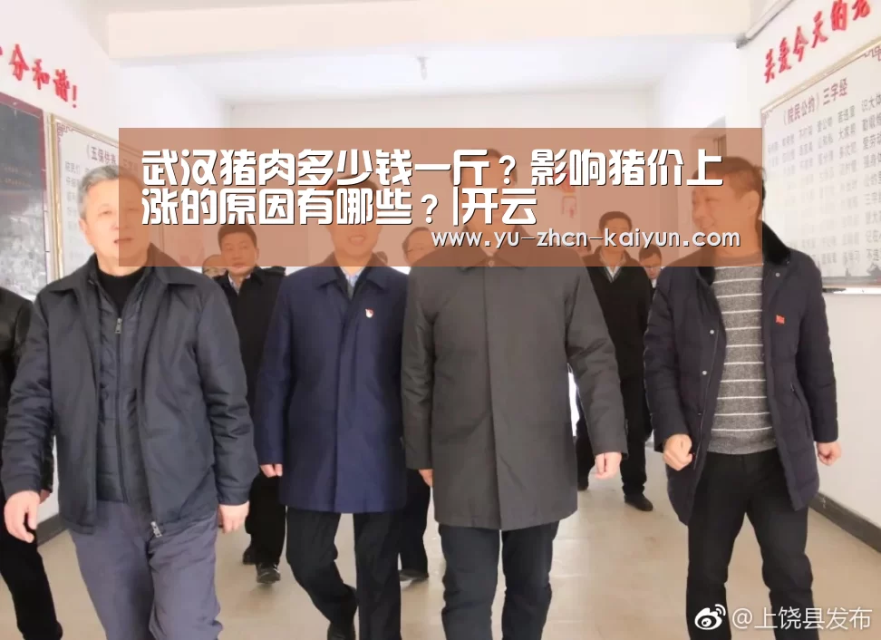武汉猪肉多少钱一斤？影响猪价上涨的原因有哪些？|开云(图2)