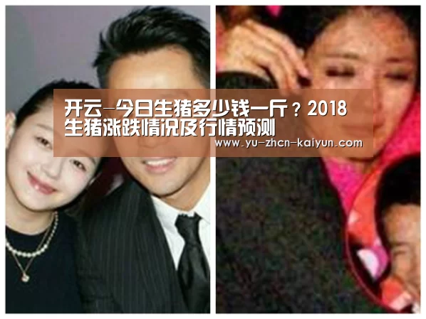 开云-今日生猪多少钱一斤?2018生猪涨跌情况及行情预测(图3) 开云-今日生猪多少钱一斤?2018生猪涨跌情况及行情预测(图3)