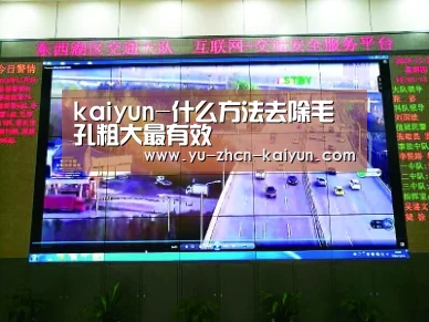 kaiyun-什么方法去除毛孔粗大最有效(图1) 开云