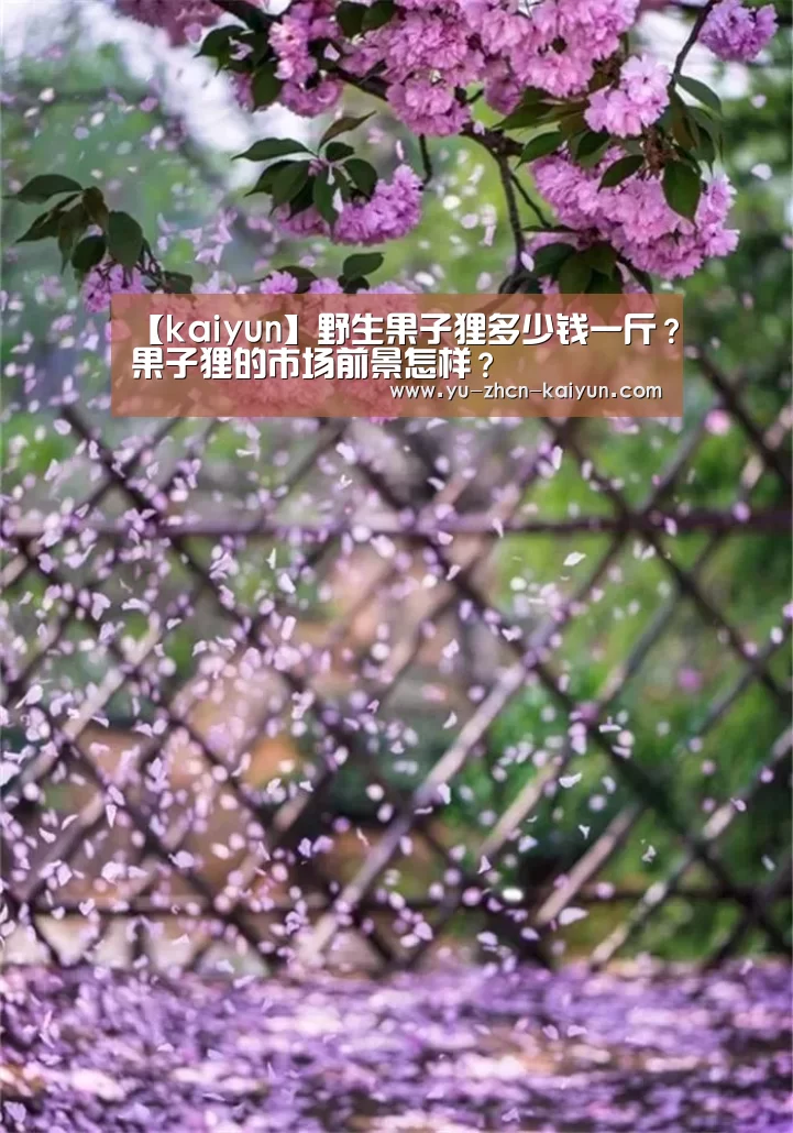 【kaiyun】野生果子狸多少钱一斤？果子狸的市场前景怎样？(图2)