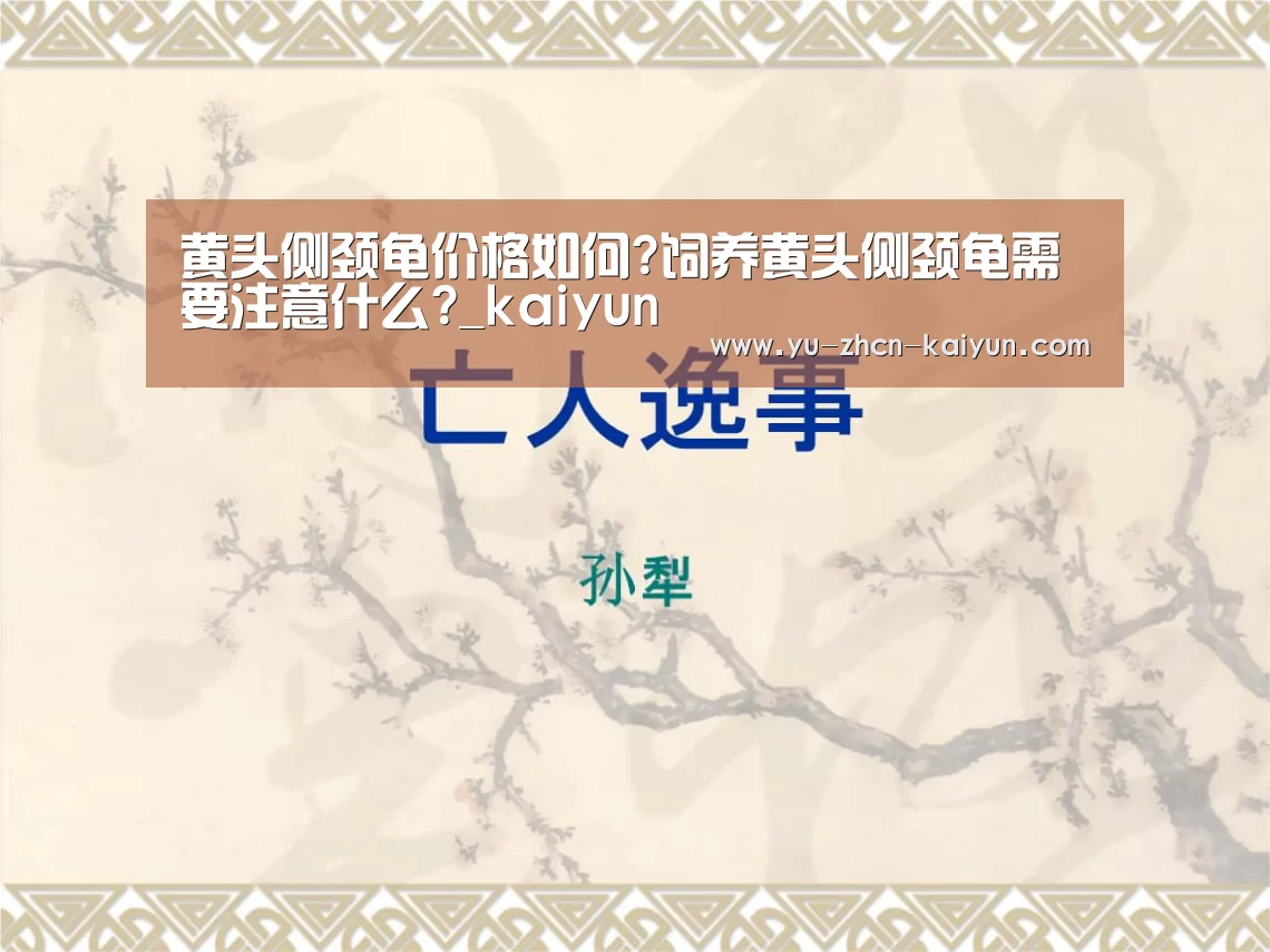 黄头侧颈龟价格如何?饲养黄头侧颈龟需要注意什么?_kaiyun(图1) 黄头侧颈龟价格如何?饲养黄头侧颈龟需要注意什么?_kaiyun(图1)