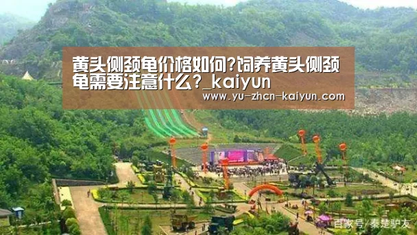 黄头侧颈龟价格如何?饲养黄头侧颈龟需要注意什么?_kaiyun(图2) 开云