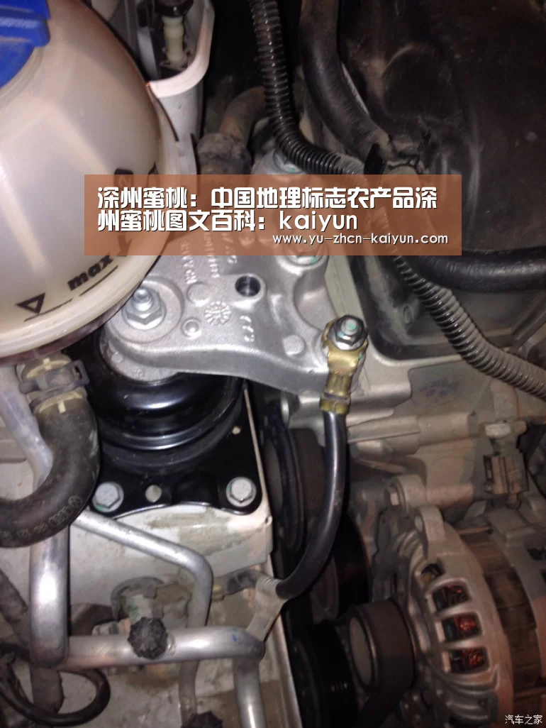 深州蜜桃:中国地理标志农产品深州蜜桃图文百科:kaiyun(图2) 深州蜜桃:中国地理标志农产品深州蜜桃图文百科:kaiyun(图2)