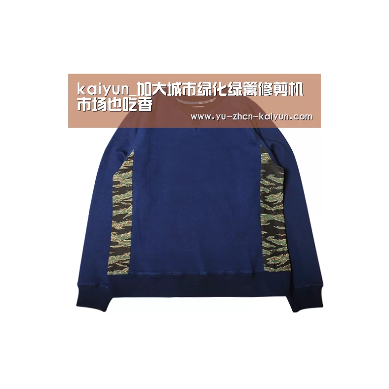 开云