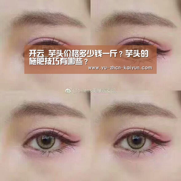 开云_芋头价格多少钱一斤?芋头的施肥技巧有哪些?(图2) 开云