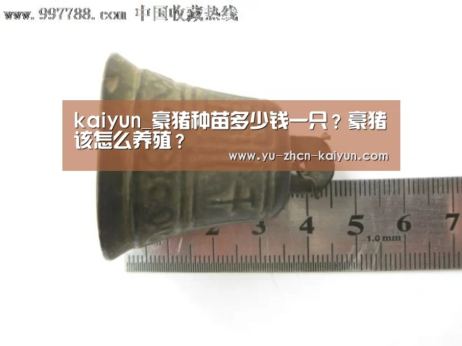 kaiyun_豪猪种苗多少钱一只?豪猪该怎么养殖?(图3) 开云